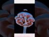 #ai #mushroom #stablediffusion #touchdesigner #td #idm #digitalart #music #musicvideo #mv