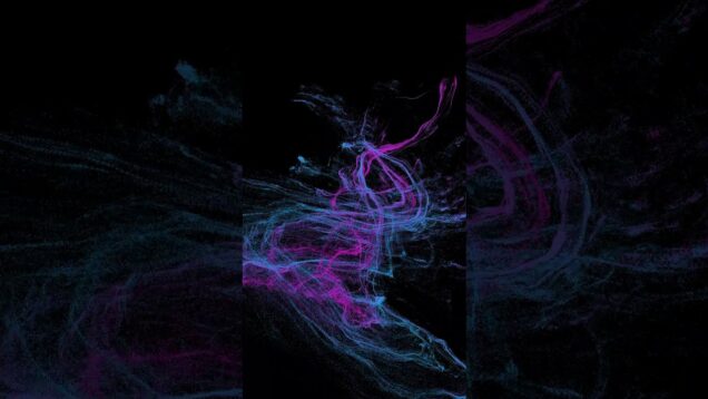 #animation #touchdesigner #flowers #orchid #edit  #digitalart #garden #nature #smartphone