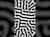 Chaos/Order #reactiondiffusion #morphogenesis #generativeart  #touchdesigner #pattern #motazari