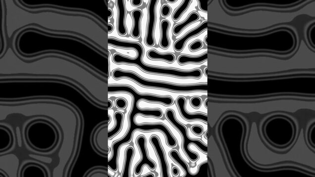 Chaos/Order #reactiondiffusion #morphogenesis #generativeart  #touchdesigner #pattern #motazari