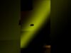 cssx 97 decap #electronic #newmusic #music #typebeat #touchdesigner #lofi #motiongraphics #beat
