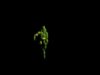 Dancing Cactus – Kinect + TouchDesigner + StreamDiffusion