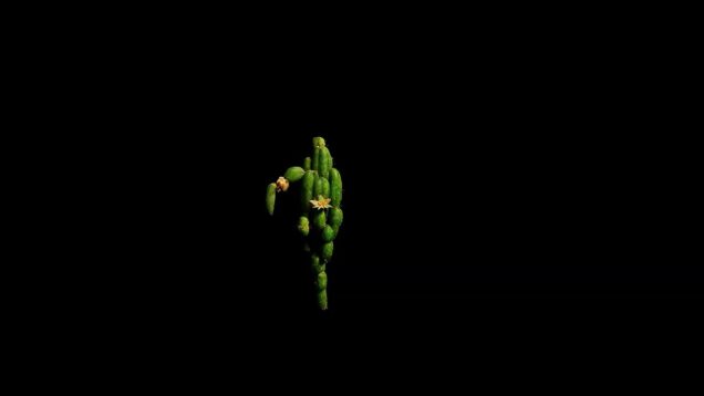 Dancing Cactus – Kinect + TouchDesigner + StreamDiffusion