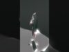 dry wash #blender3d #cleancore #touchdesigner #animation #ambient