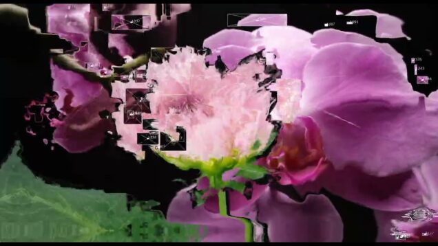 Finnjaminn #touchdesigner #aftereffects