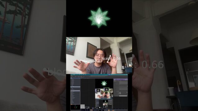 Flower – HandTrack | TouchDesigner