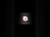flower moon | 3d animation in Blender and touchdesigner #blender #tochdesigner #generativeart