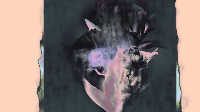 Flower TouchDesigner