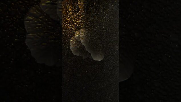 glsl shading with #touchdesigner #nocturnixx #digitalart #metal #music #touchdesignercommunity