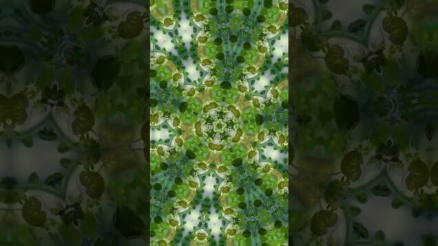 Happy Hıdırellez! #stopmotion #visualmusic #TouchDesigner #dragonframe #kaleidescope #hıdırellez