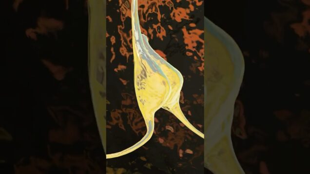 Houdini & Touchdesigner Showreel