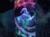 I turned my monitor into a touchscreen  #touchdesigner #generativeart #interactive