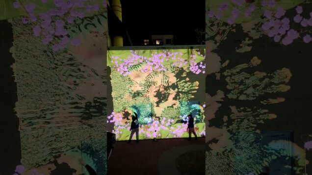 Interactive Reaction Diffusion created with TouchDesigner!