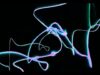 line touchdesigner