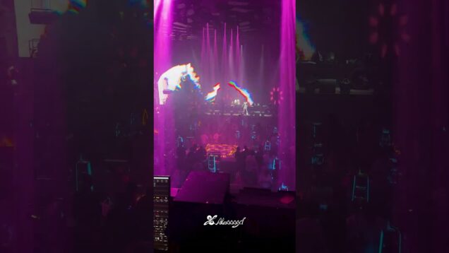Live VJ for a bar made with Touchdesigner | Digital Interactive Art
