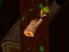 Mini Music Movies #shorts  · #log #tree #years #rings #touchdesigner #audioreactive #loop #animation