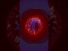 ORGANIC FIELDS – Leafur | Touchdesigner (reactive visual)