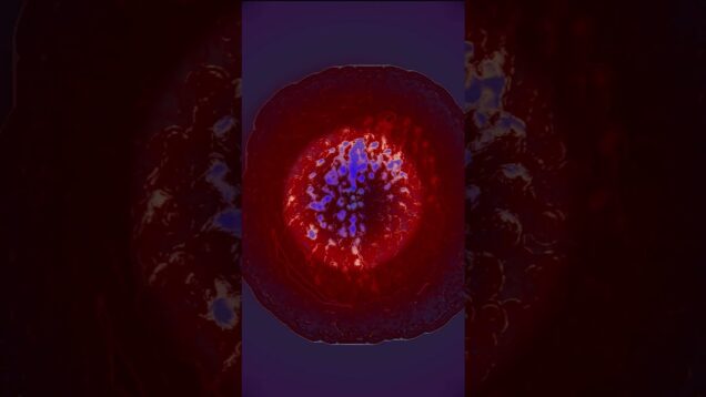 ORGANIC FIELDS – Leafur | Touchdesigner (reactive visual)