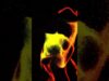Paraphynx #touchdesigner #ambient #electronicmusic #shorts #electronicmusic #interactiveart
