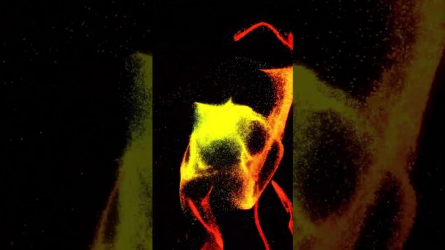 Paraphynx #touchdesigner #ambient #electronicmusic #shorts #electronicmusic #interactiveart