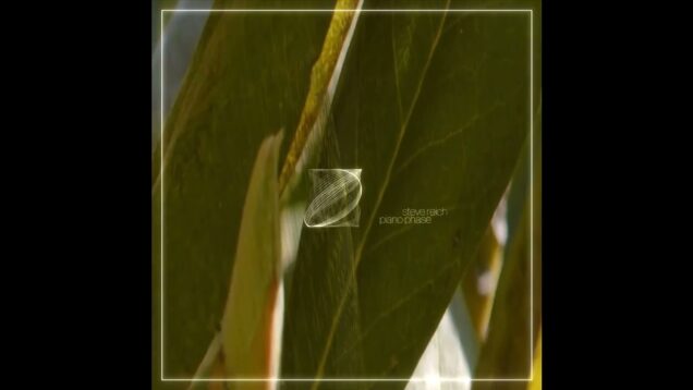 piano phase – steve reich #vj #audiovisual #audioreactive #livevisuals #touchdesigner #stevereich