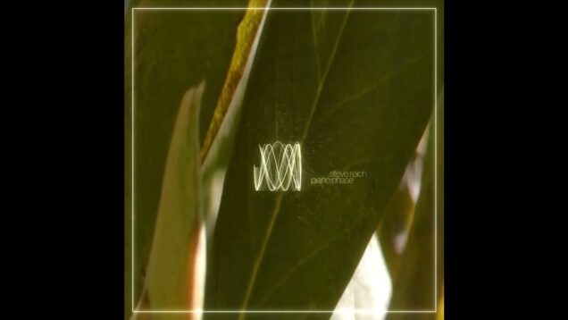 piano phase – steve reich #vj #audiovisual #audioreactive #livevisuals #touchdesigner #stevereich