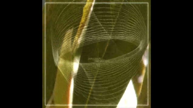 piano phase – steve reich #vj #audiovisual #audioreactive #livevisuals #touchdesigner #stevereich