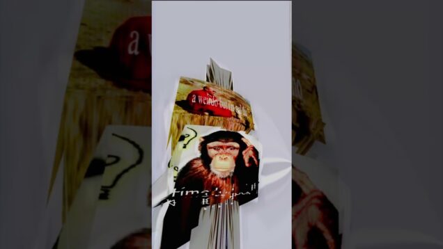 premium brainrot #touchdesigner #brainrot