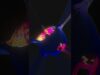 #TD Lab # TouchDesigner #tutorial
