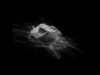 Timeless dust #touchdesigner #beachhouse
