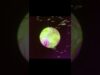#touchdesigner #audiovisualizer #musicvisualization #kelela