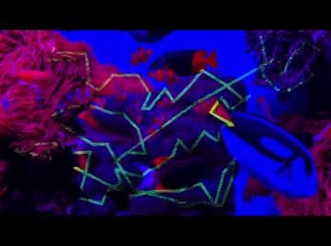 Touchdesigner fishes