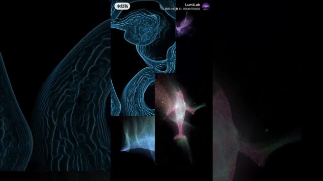 #touchdesigner #generativeart #creativecoding #vjloops #motiondesign #visualart #reel #digitalartist
