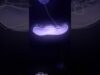 🪼 #touchdesigner #visual #electronicmusic #ocean