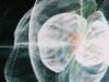TouchFlow [#02] – Daily TouchDesigner Visual Compilation