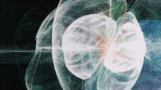TouchFlow [#02] – Daily TouchDesigner Visual Compilation