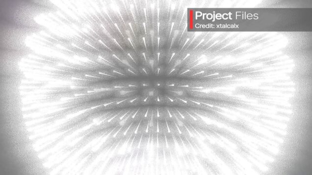 XTALCALX TOUCHDESIGNER PROJECT FILE XTAL-PF-010 DANDELION DRIFT PARTICLES