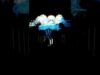 Electric coral, shark.#touchdesigner #realtime #audio #reactive #trippy #3d