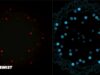 FeedBack in TouchDesigner