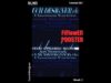 FiFlowER POSTER 2 | TouchDesigner Learning Outcomes | Dynamic Poster