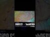 Georgia On My Mind – Joel David Guzman x GroovyDoopy #audiomixing #livesoundengineer #touchdesigner