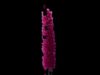 Glitch Flowers (touchdesigner BlobTracking)