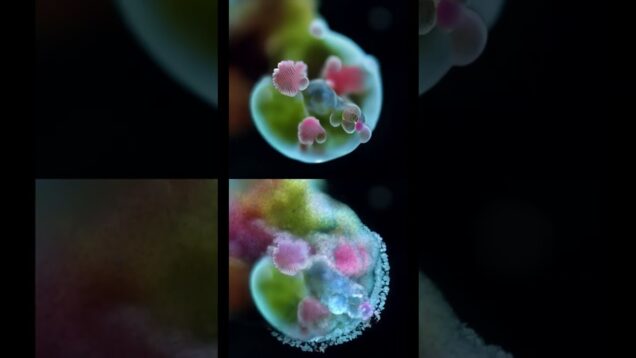 Particle Evolution – TouchDesigner #art #nvidia #contemporaryart