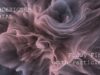 Phantom Feels (touchdesigner particles gpu w/ mediapipe)