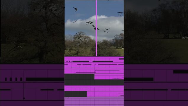 #piano #touchdesigner #composer #piano #classical #recording #algorhythm #cycles #nature #soundart