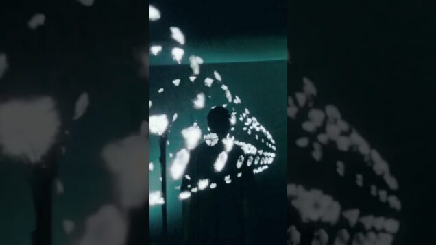 ROW | audiovisual installation