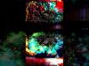 Secretion by Rrose  #touchdesigner #creativecoding