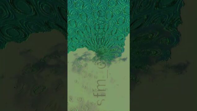 sfmc logo 001  #touchdesigner #creativecoding