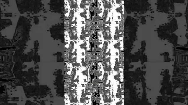 stomachs gurgled  #touchdesigner #ableton #maxmsp #glitch #shorts #electronic #noise