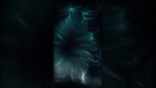 #TouchDesigner #GenerativeArt #SeaAnemone #DigitalCalm #RealtimeVisuals #VisualPoetry #animationart